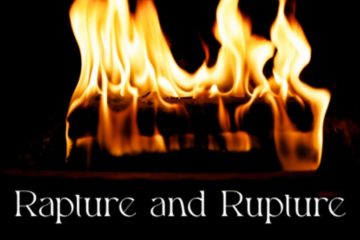 Social Gravy – Rapture and Rupture