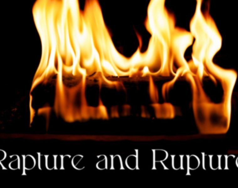 Social Gravy – Rapture and Rupture