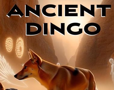 The Amanda Emblem Experiment – Ancient Dingo