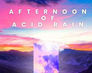 Hallucinophonics – Afternoon of Acid Rain