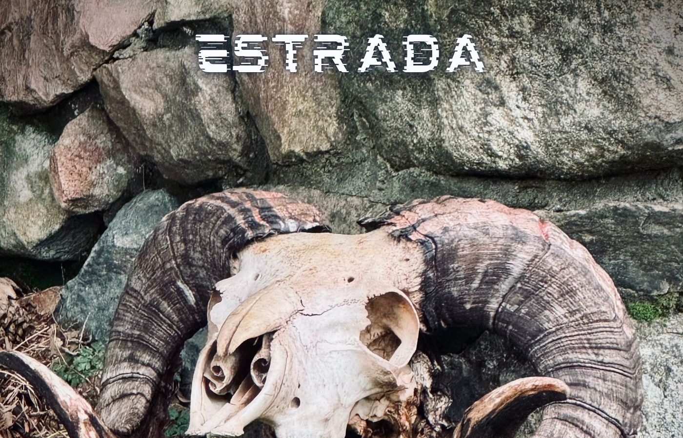 Estrada Music Project – Verso Melódico