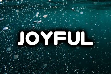 Crypt1c – Joyful