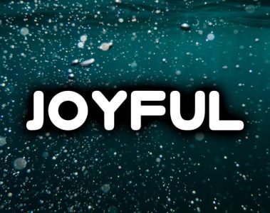 Crypt1c – Joyful