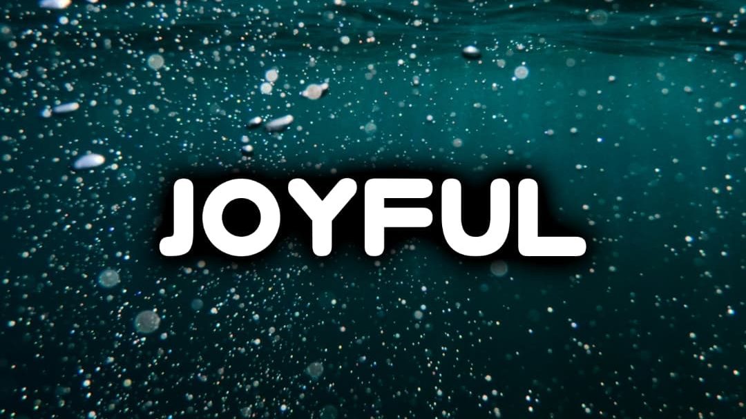 Crypt1c – Joyful