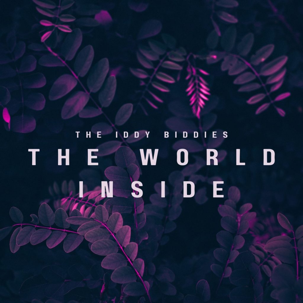 The Iddy Biddies — The World Inside Review