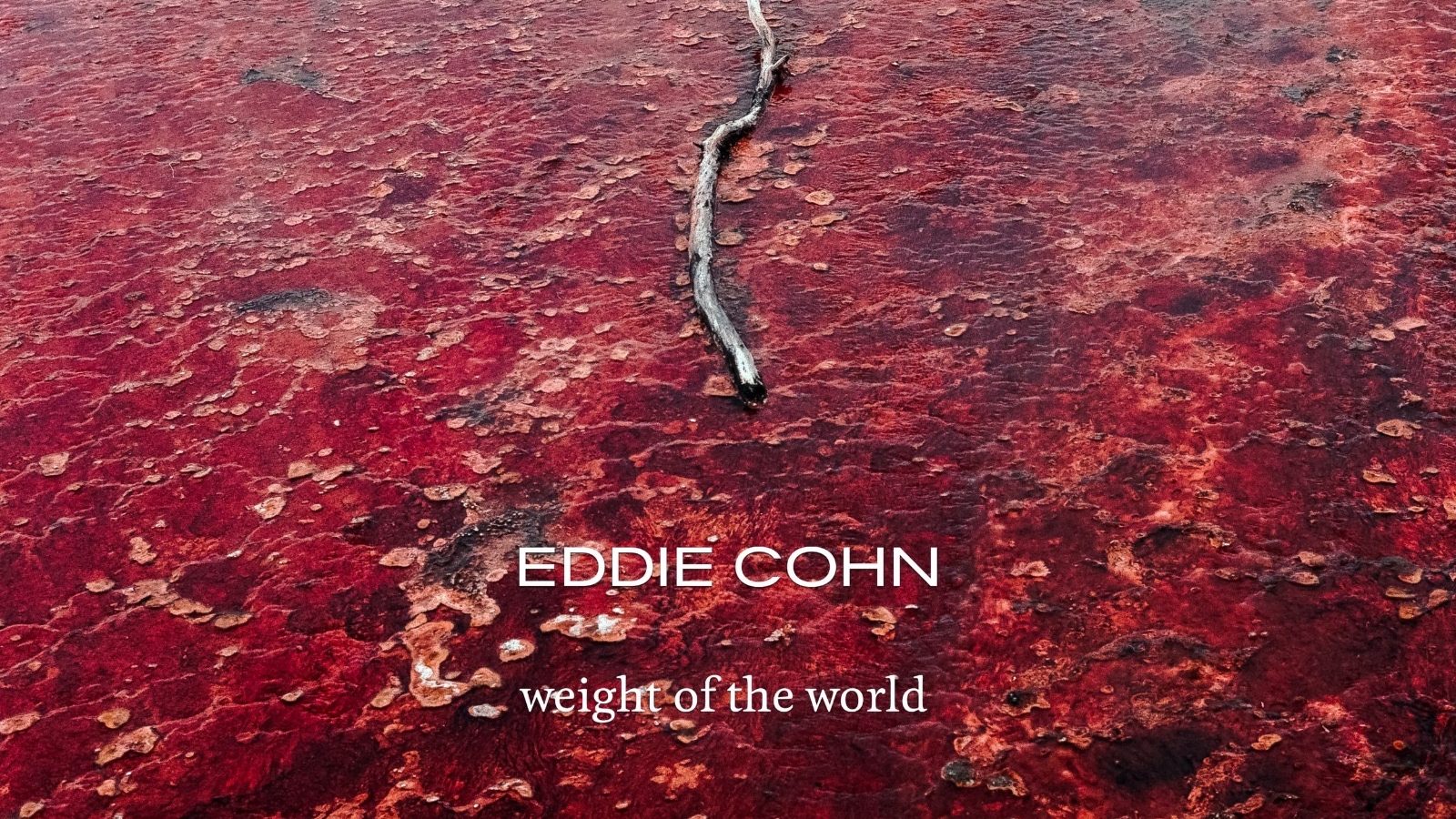 Eddie Cohn – Weight of the World (Review) Eddie Cohn – Weight of the World