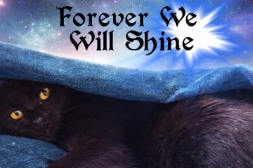 Kim Cameron – Forever We Shine