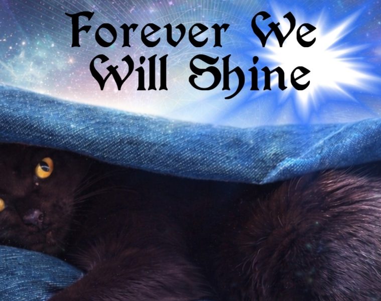 Kim Cameron – Forever We Shine