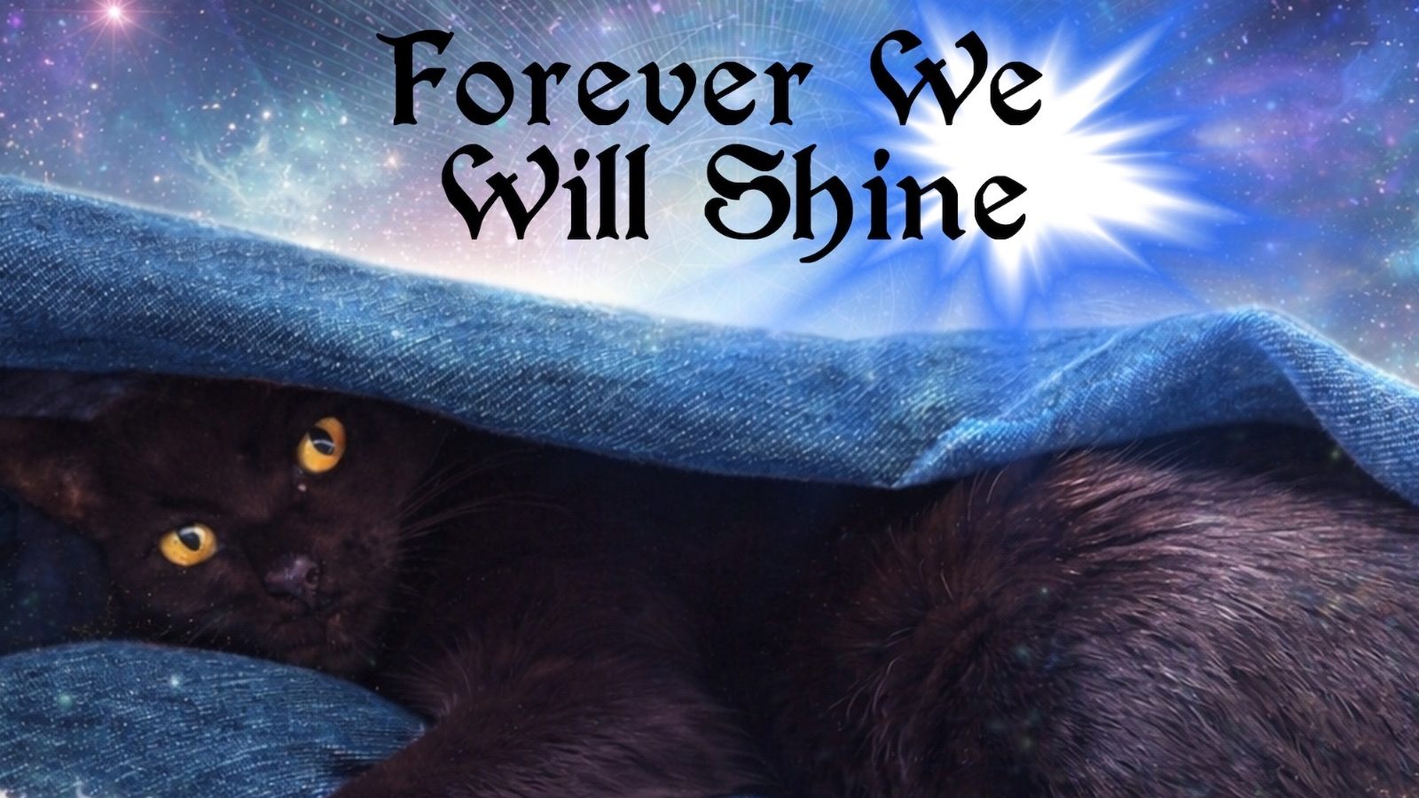 Kim Cameron – Forever We Shine
