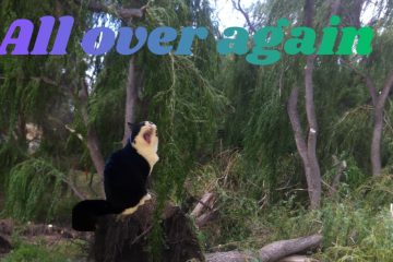 Lyndo Jaco – All Over Again