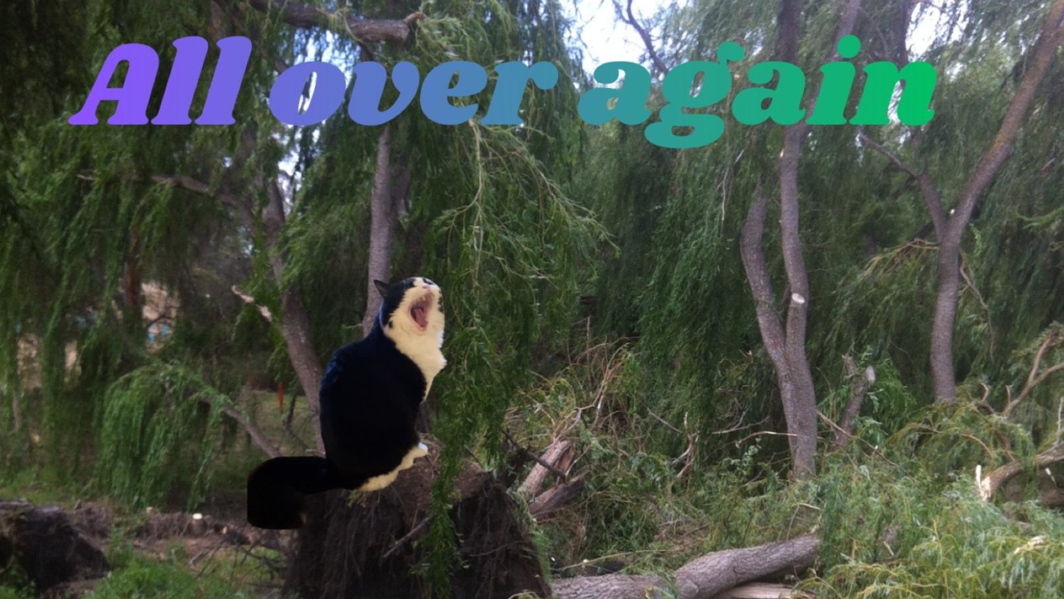 Lyndo Jaco – All Over Again