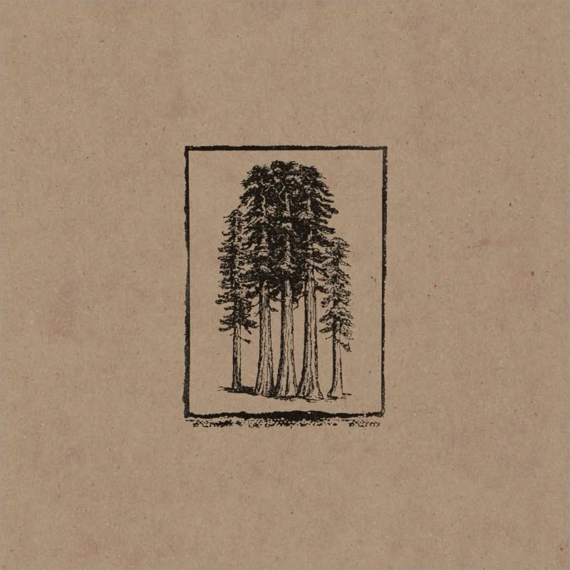 9551 Hi Ho Six Shooter — Close As Kin (Review)