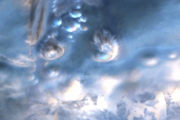 Lucian Lacewing – Land Of Enchantment