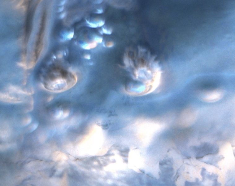 Lucian Lacewing – Land Of Enchantment