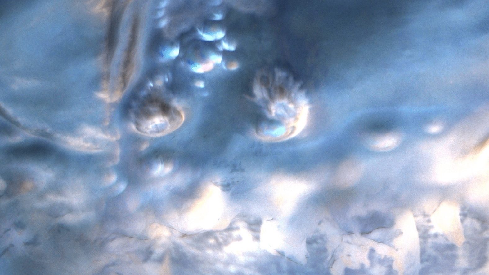 Lucian Lacewing – Land Of Enchantment