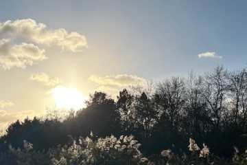 Fiona Amaka – Love That Fills My World (Acoustic Version)