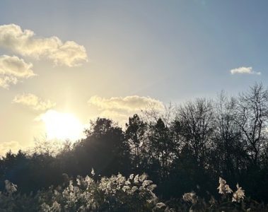 Fiona Amaka – Love That Fills My World (Acoustic Version)