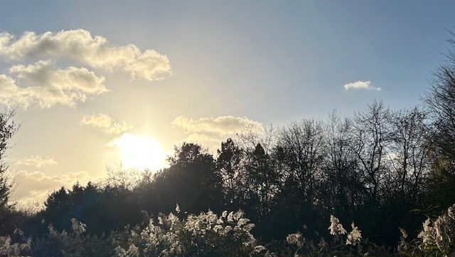 Fiona Amaka – Love That Fills My World (Acoustic Version)