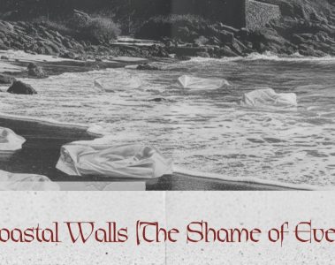 Garrett Anthony Rice – The Coastal Walls (the shame of everyone)