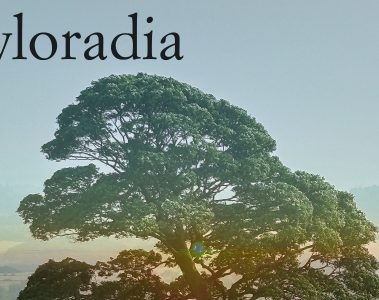Nick Pike – Ayloradia