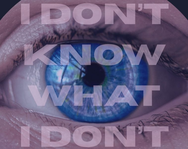 Silver Dawn – I Don’t Know What I Don’t Know