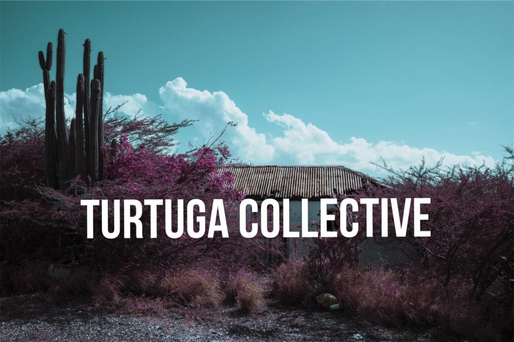 Turtuga Collective — Sintura (Review)