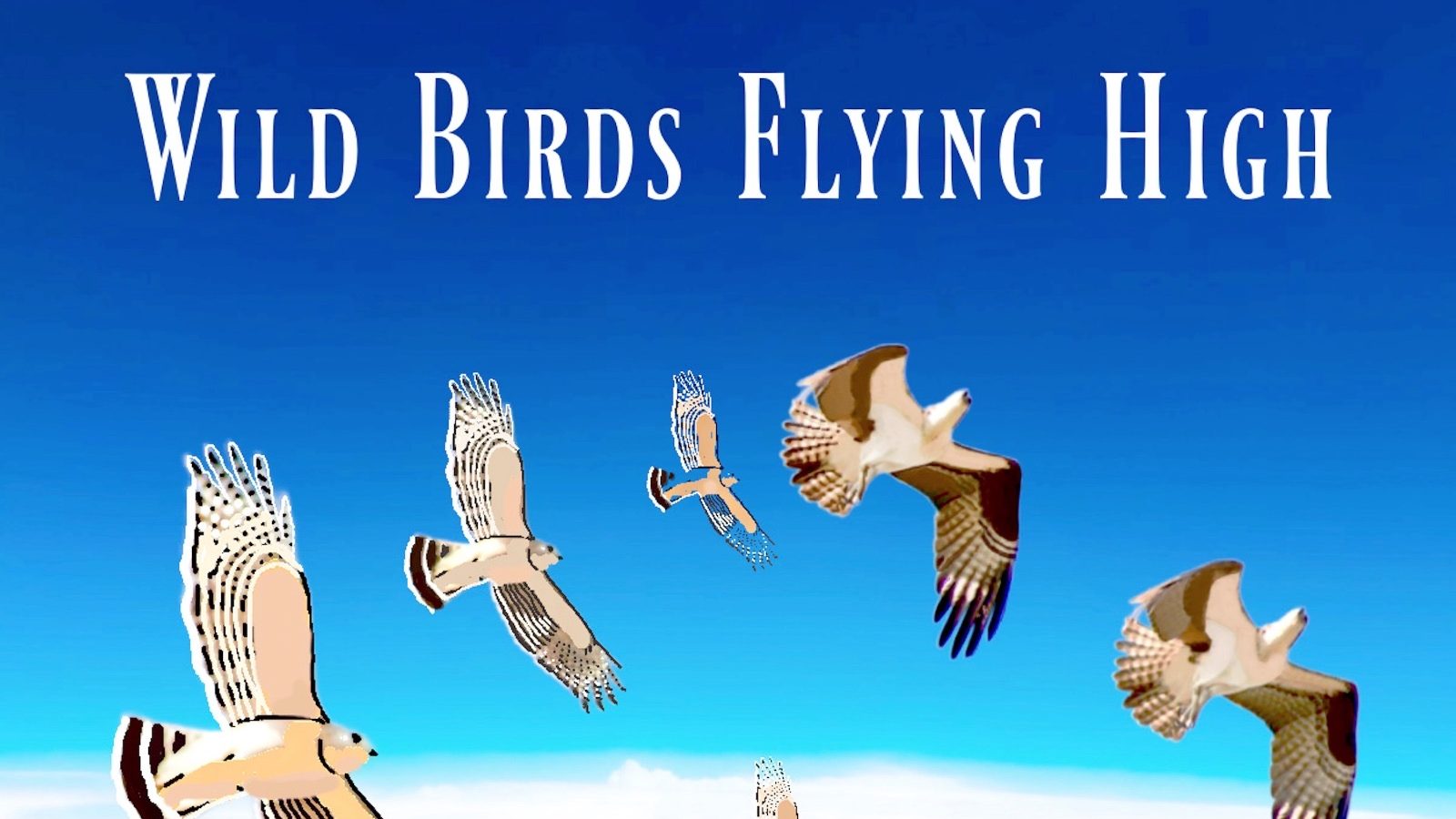 Karen Salicath Jamali – Wild Birds Flying High