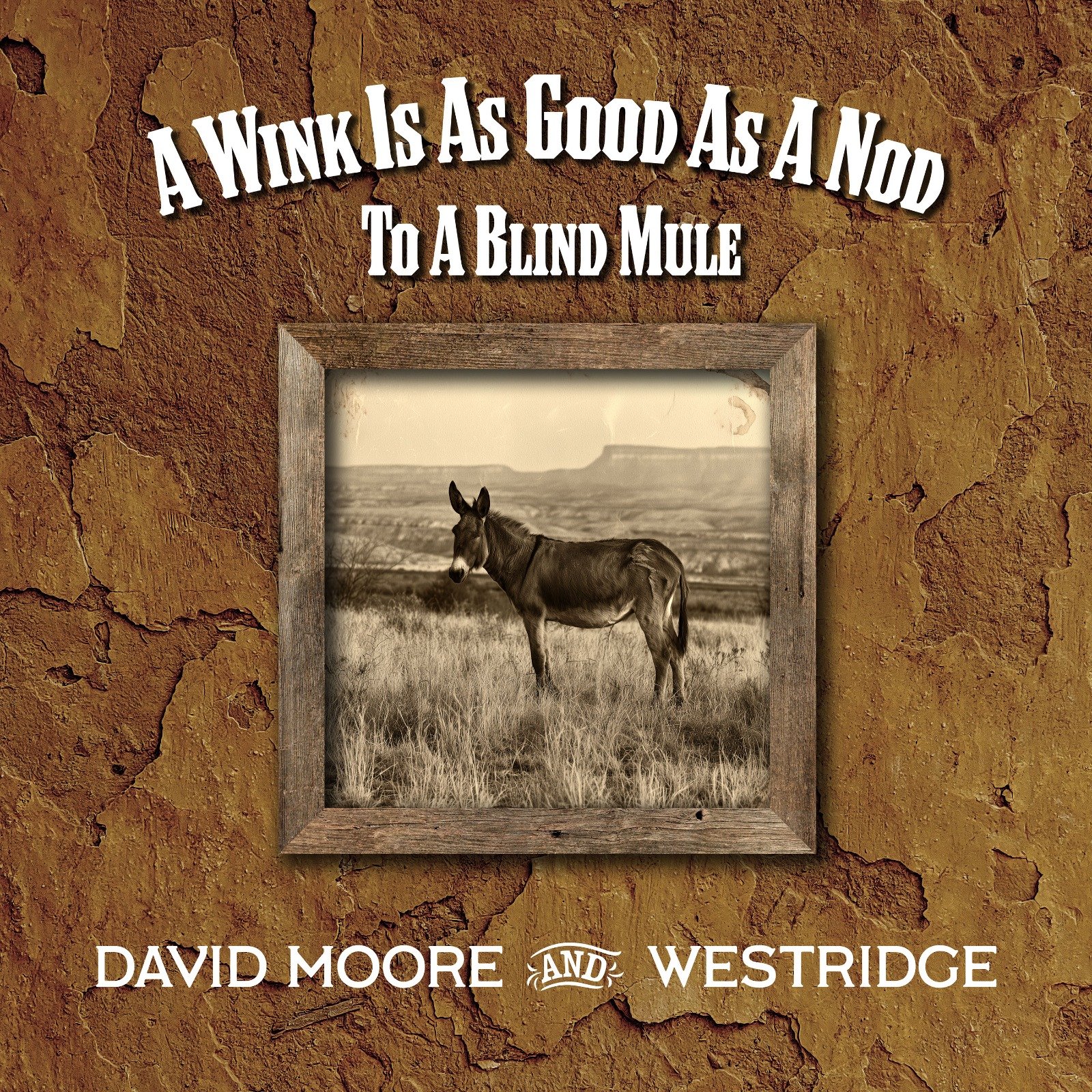 David Moore — A Wink Is As Good As A Nod To A Blind Mule (Review)
