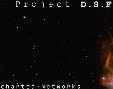 Project D.S.F – Transformation