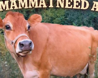 Kayla Storlid – Mamma I Need a Moo Moo Cow