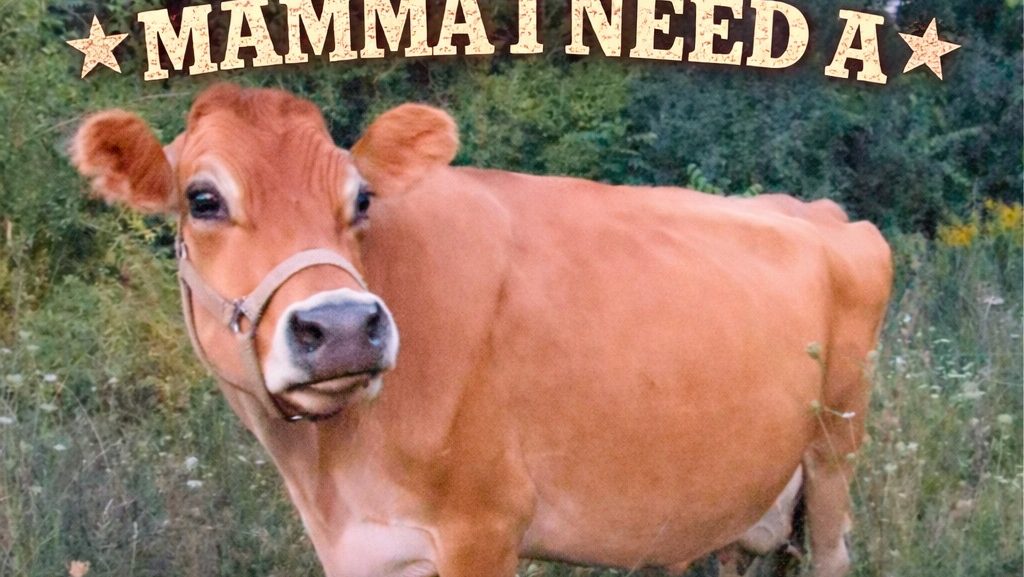 Kayla Storlid – Mamma I Need a Moo Moo Cow