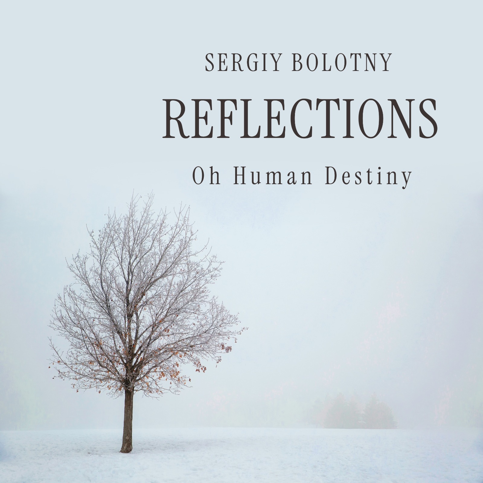 Sergiy Bolotny — Reflections: Oh, Human Destiny