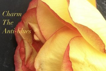 Charm – The Anti-Blues