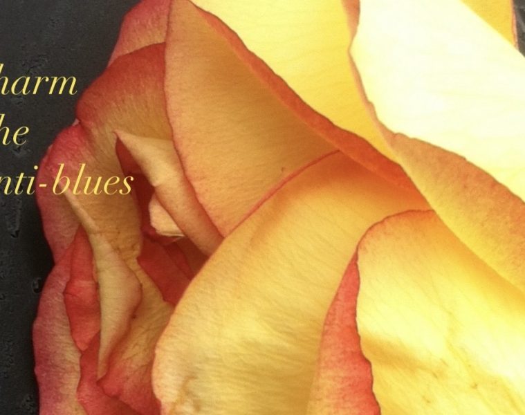 Charm – The Anti-Blues