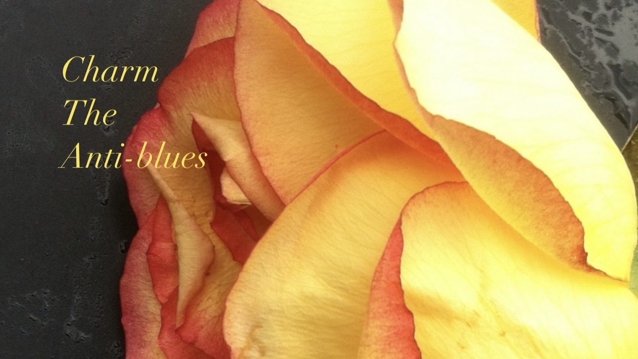 Charm – The Anti-Blues